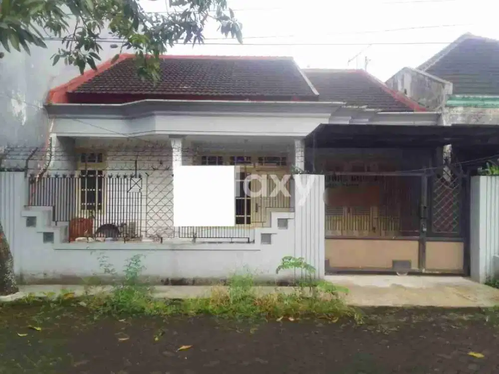 Rumah Murah Banting Harga Taman Borobudur Agung Malang Soekarno Hatta Blimbing Dekat Hwaind Brawijaya