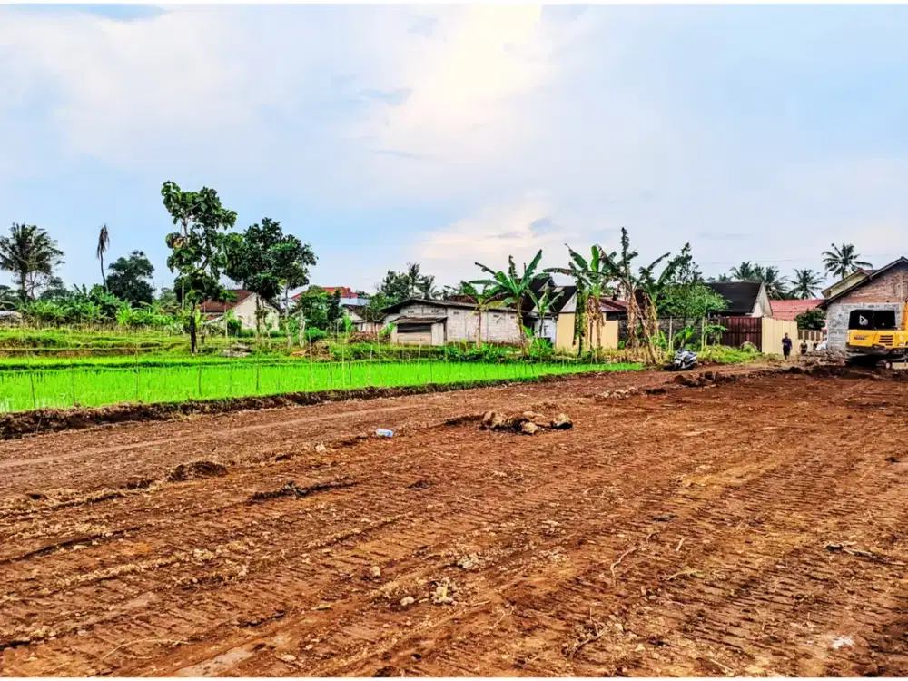 Jual Tanah View Sawah, Punya Rumah Dengan View Gunung Di Palagan