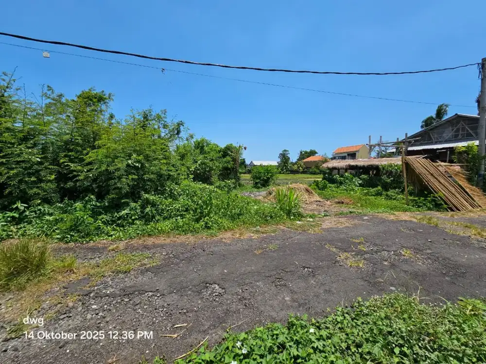 Tanah Komersil Pantai Kedungu Tabanan Bali