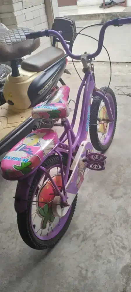 sepeda bekas anak cewek