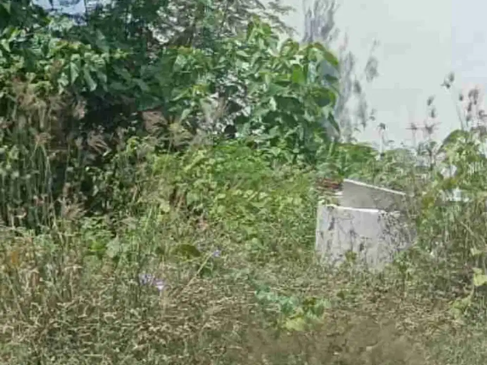 Di jual tanah jalan Kutat Lestari, Sanur , Denpasar, Bali