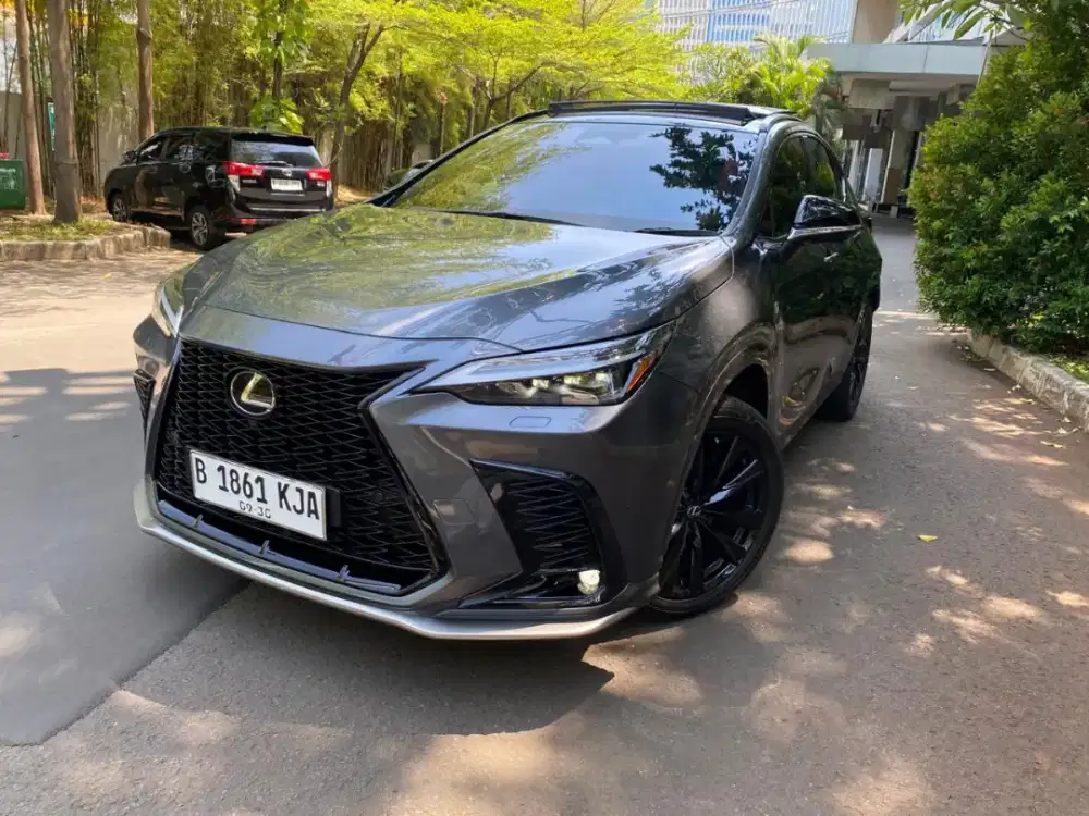Lexus NX350H 2023 ( Nx350 )