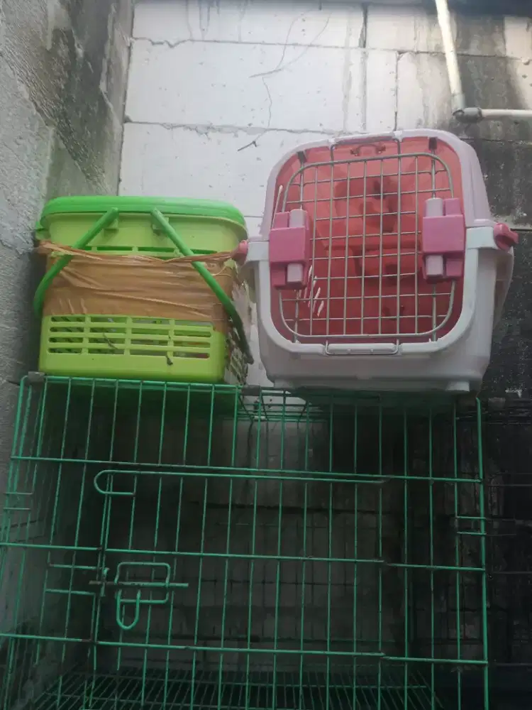 Di jual pet cargo am keranjang Rio