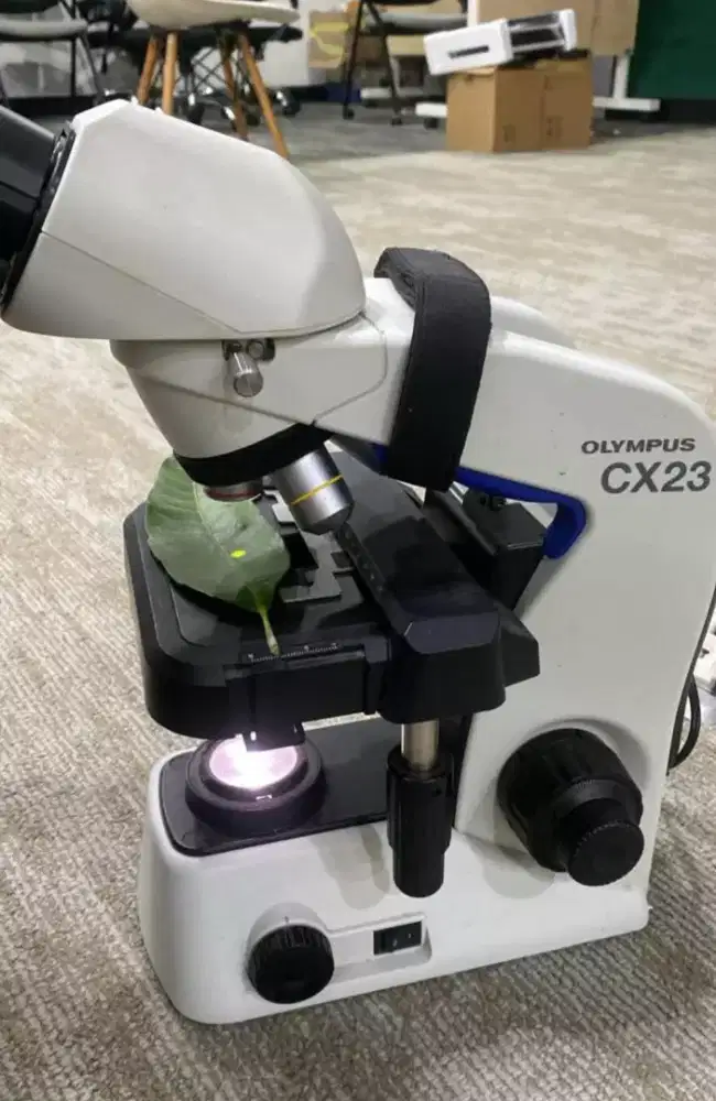 Microscope Olimpus cx23