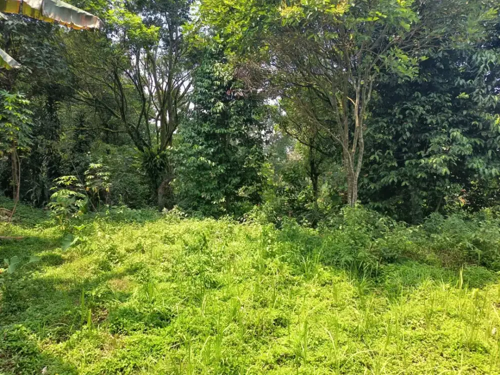 Lahan murah Megamendung 7 menit dari jalan raya Puncak Bogor