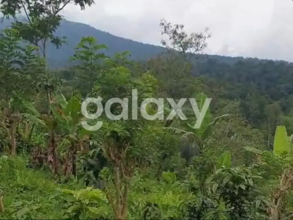 TANAH DESA SANDA PUPUAN TABANAN, BALI