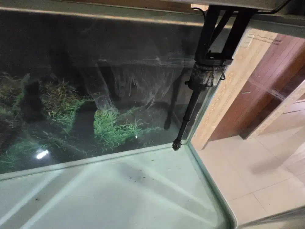 Aquarium Ikan merk Boyu 302 Liter