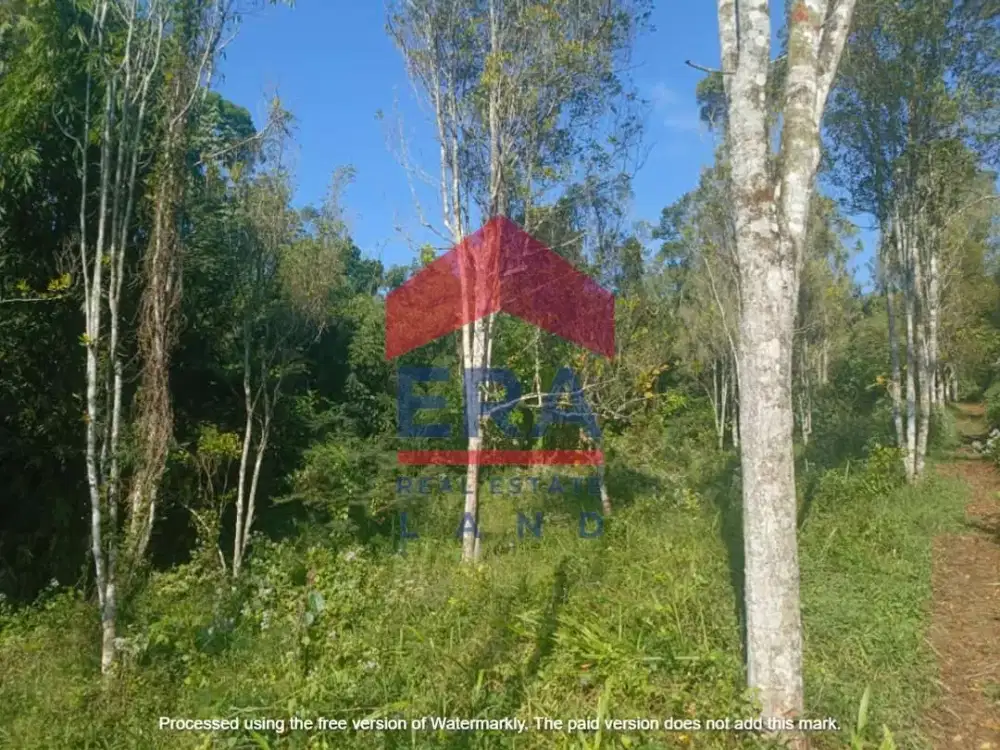 Dijual Tanah di Jalan Desa Kucur Dau Malang