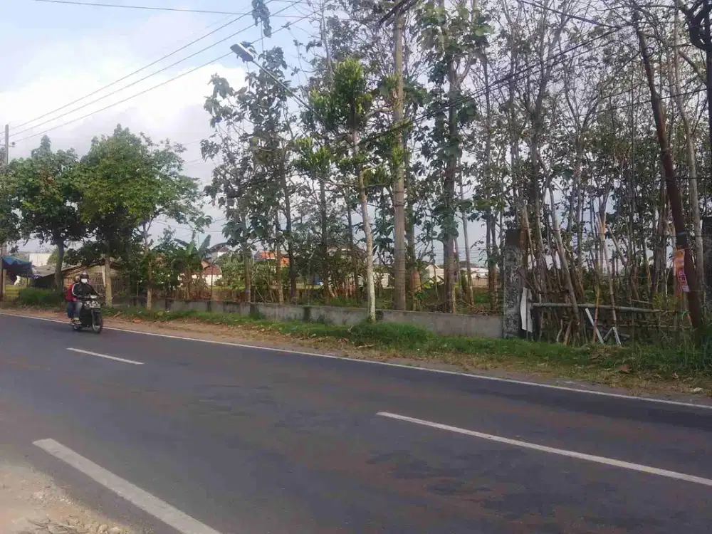 TANAH POROS JALAN PROVINSI PAKISAJI MALANG