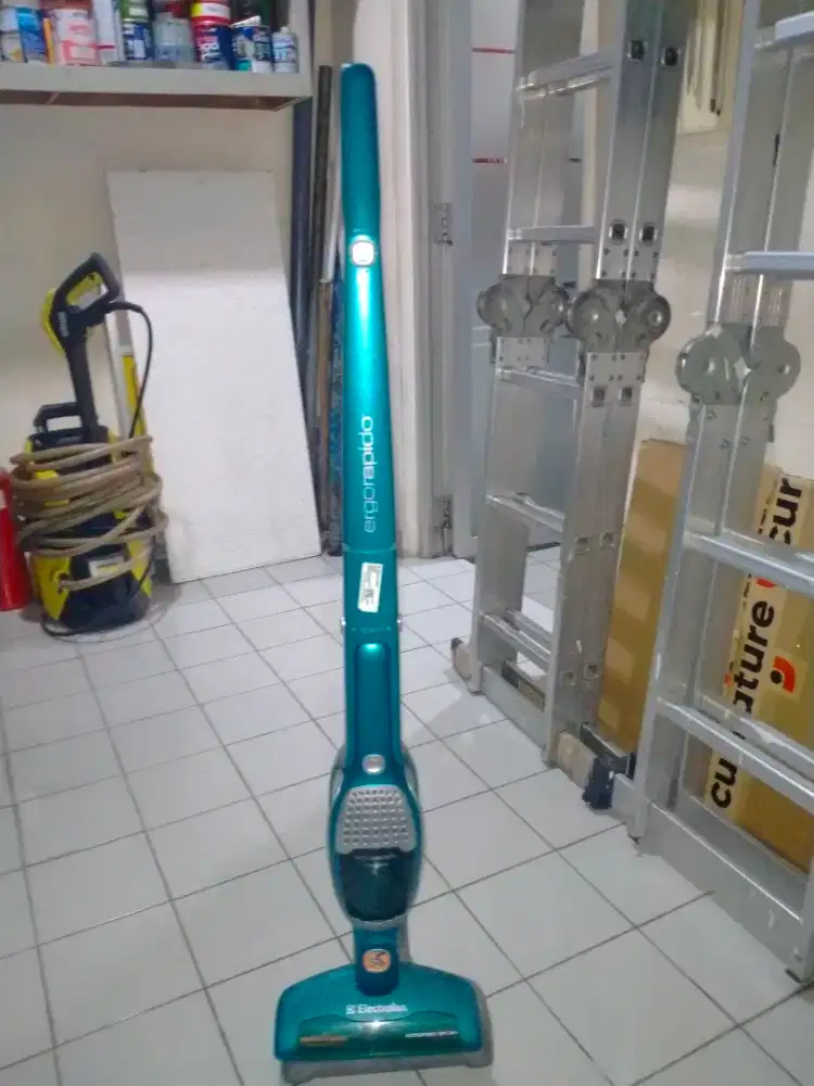 Mesin vacum Electrolux