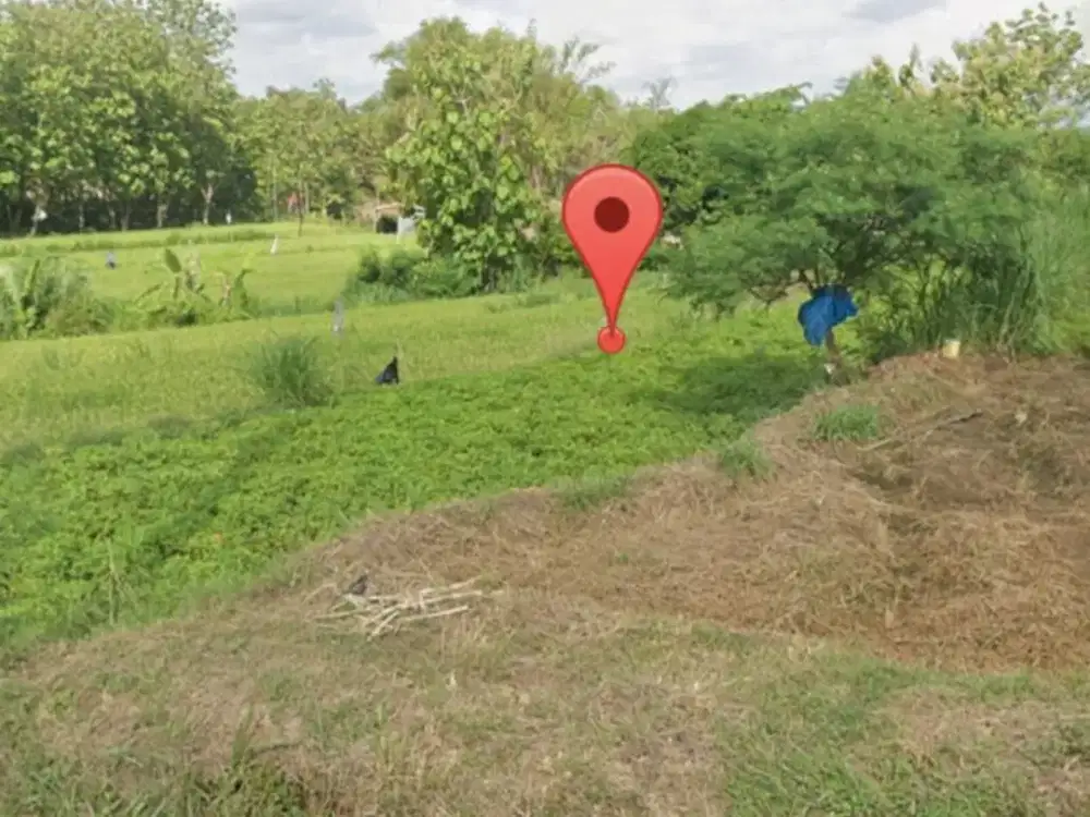 Dijual Lahan Super Strategis Pekarangan Gondangrejo Karanganyar 4948m2