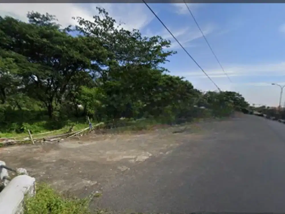 TANAH POROS JALAN RAYA PURWOSARI PURWODADI PASURUAN JAWA TIMUR