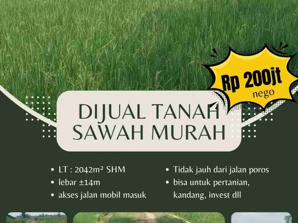 Dijual Tanah Sawah Murah