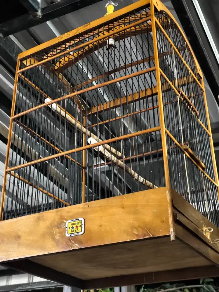 Sangkar burung kk kotak oriq no.2
