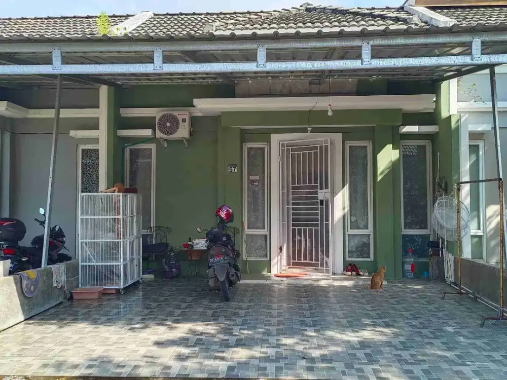 Jual Cepat 750juta Amarillys Tanjung Bunga Makassar