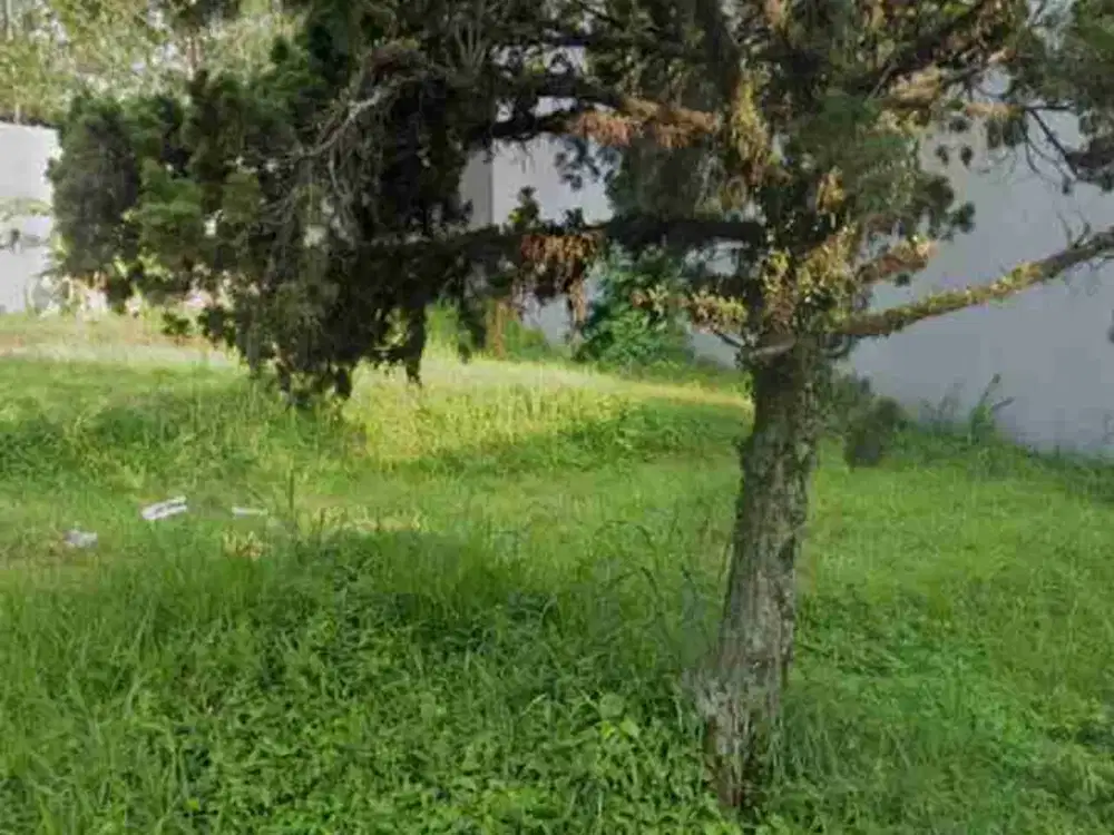 jual kavling setraduta cemara bandung utara