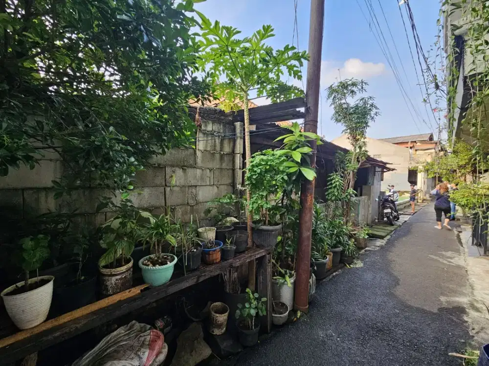 DIJUAL CEPAT TANAH DI CIPINANG