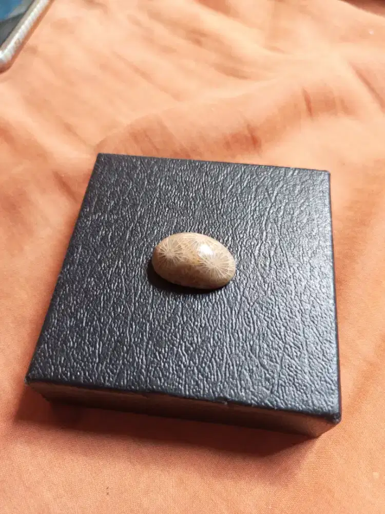 Batu teratai batu lipan