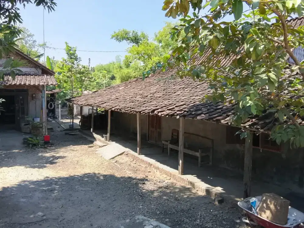 Jual tanah bonus rumah jowo lokasi Masaran luas 420mtr hrg 220jt nego