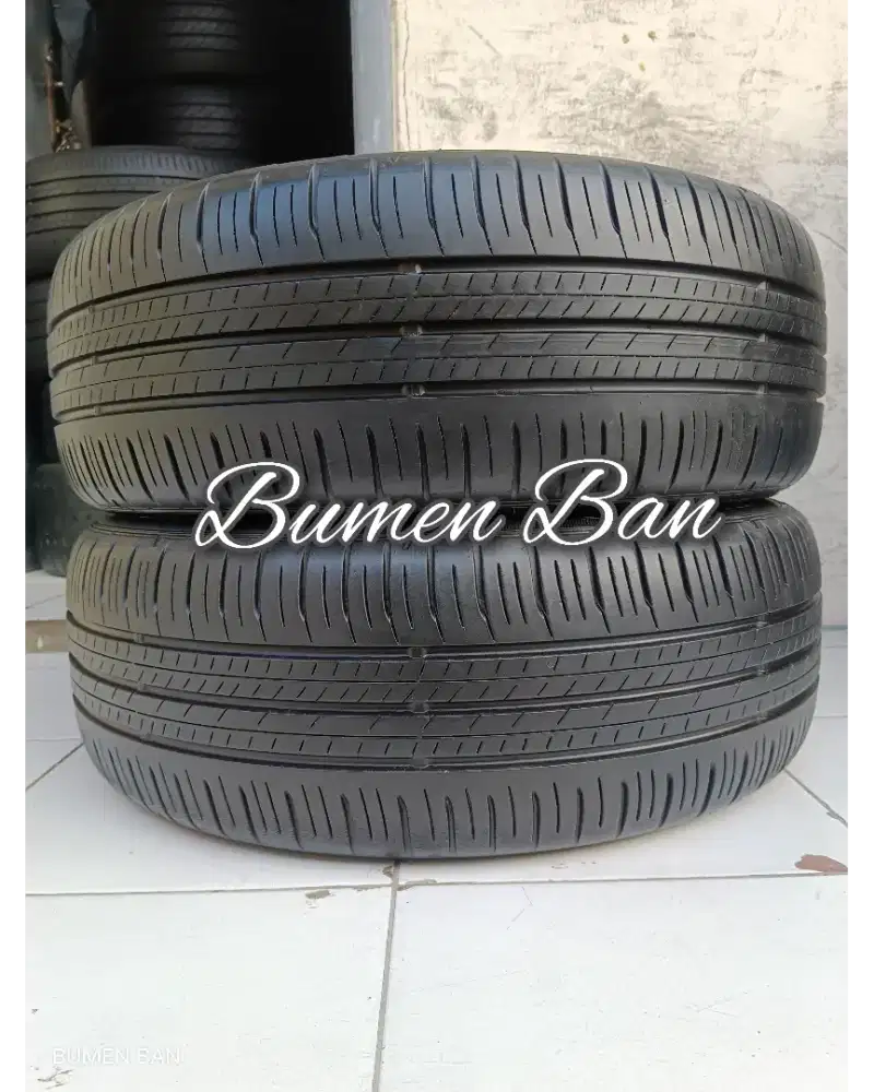 Ban 205 55 R17 Dunlop Enasave XPander