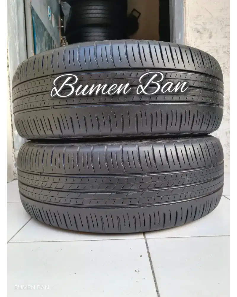 Ban 205 55 R17 Dunlop Enasave XPander