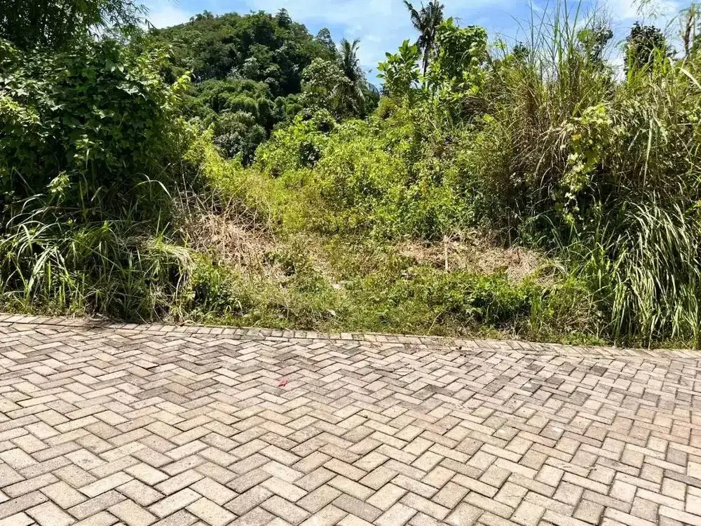 Tanah Kavling Dekat Kampus Murah Banget