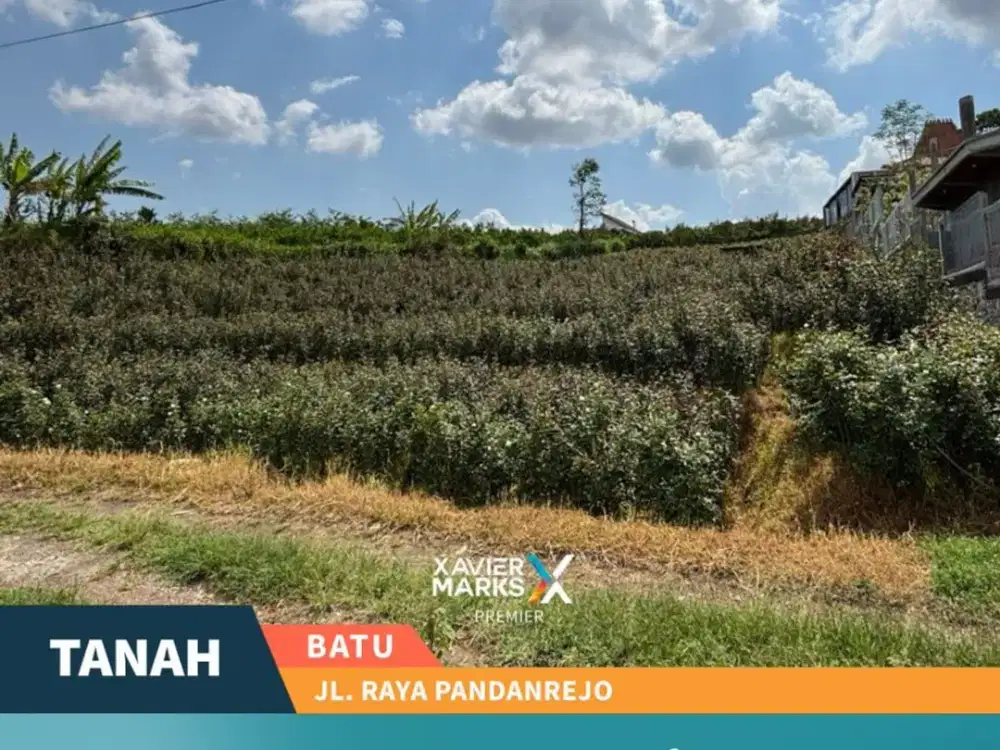 Dijual Cepat Tanah di Jl. Raya Pandanrejo Batu Dekat Alun Alun Batu