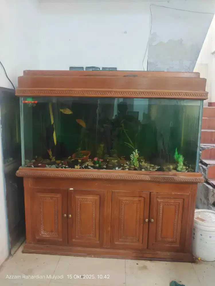 Aquarium Jati besar