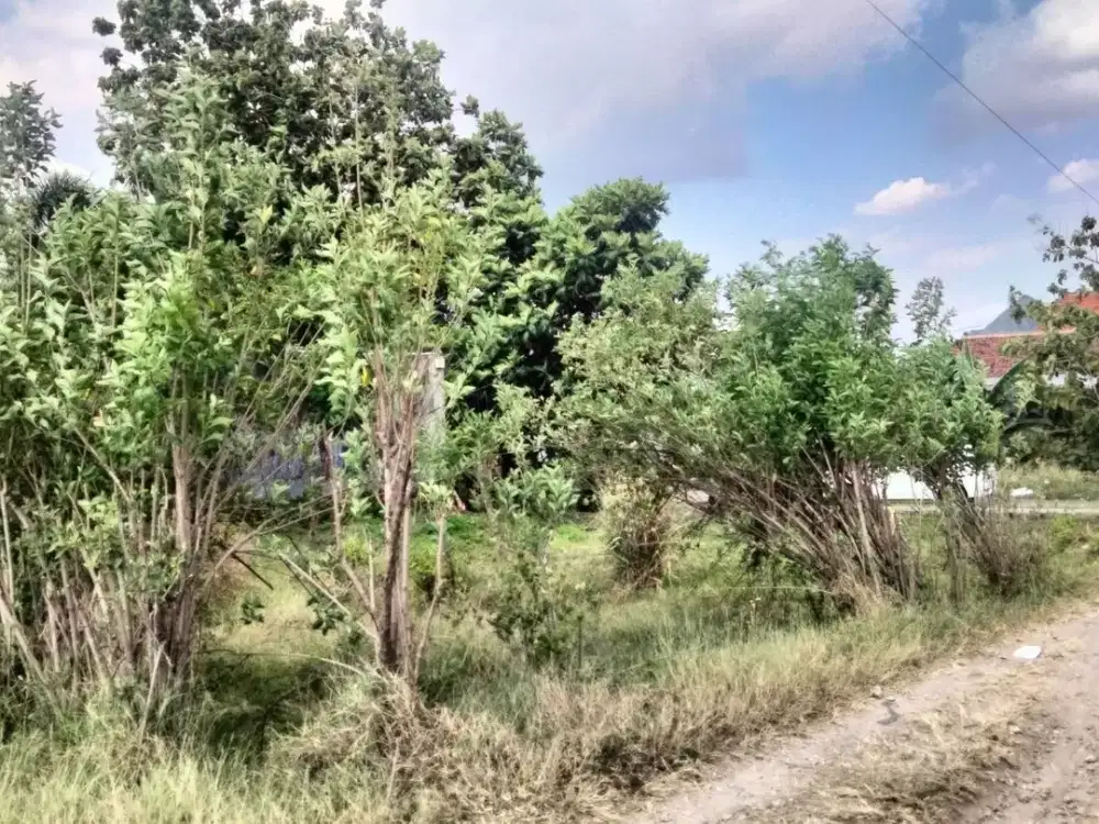 Kavling Kos 210 m, Dekat Kampus UMS Solo