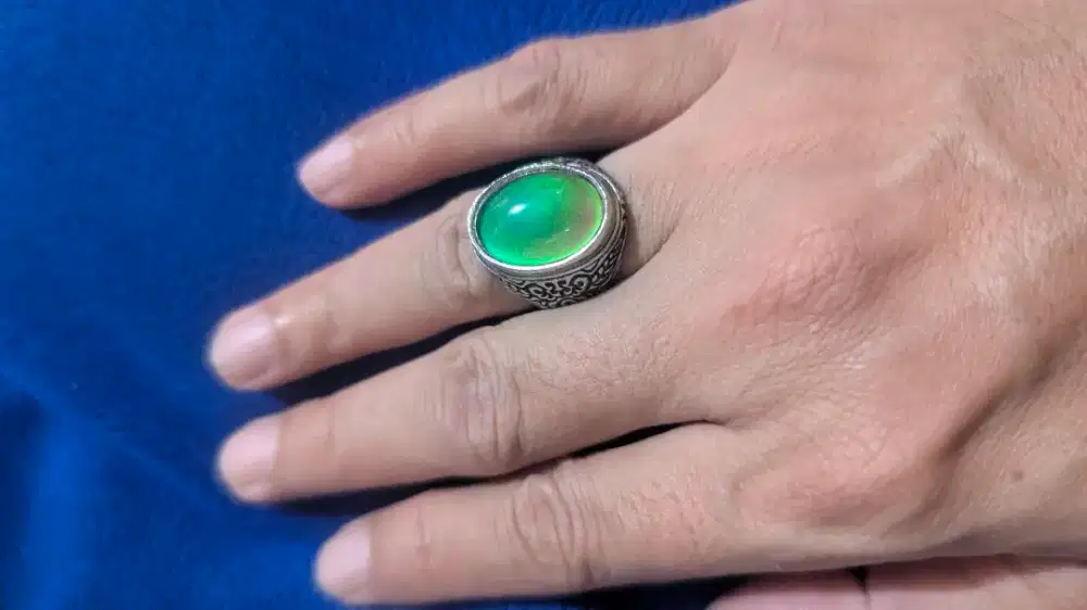 Batu Segoro Bunglon ring 6