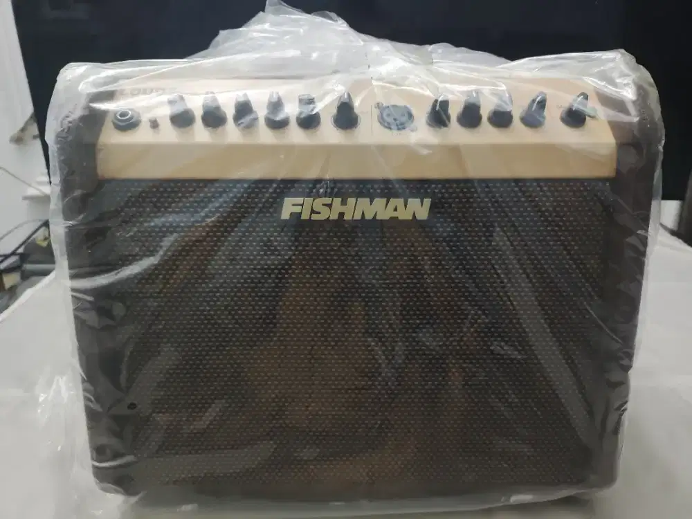 FISHMAN LoudBox Pro LBX Ex5