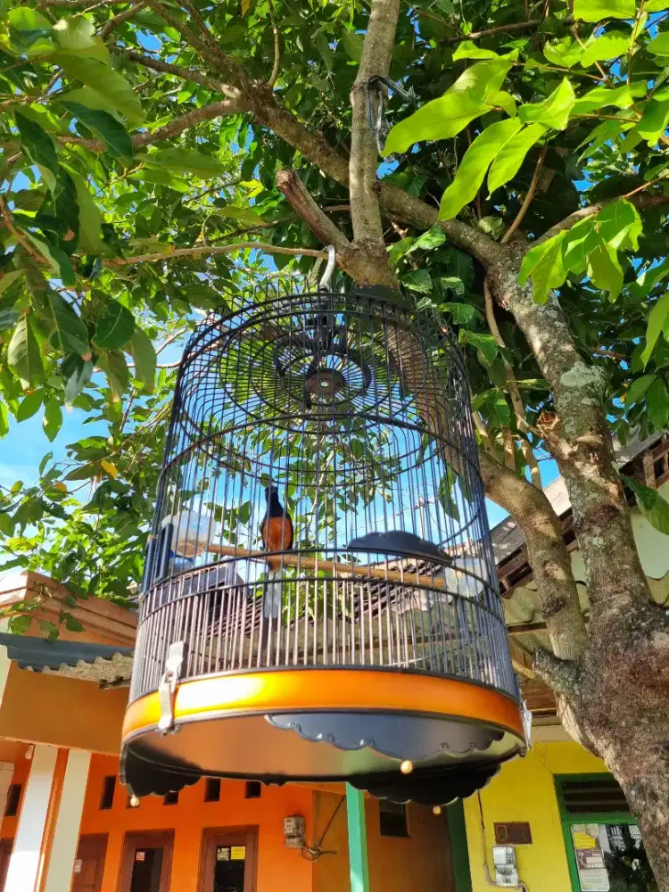 Sangkar Burung Bulat Harian