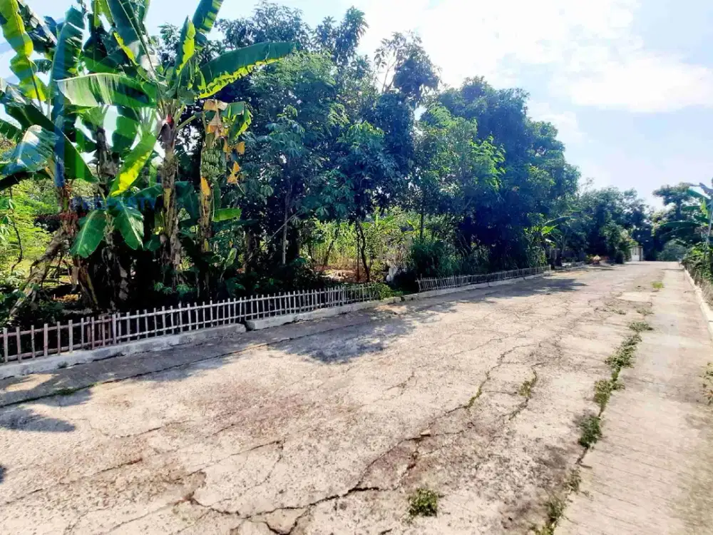 dijual tanah pekarangan murah di Boyolali