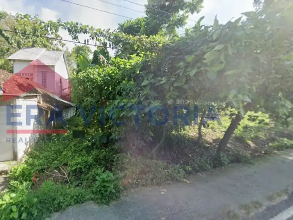 Tanah Luas Area Tuban Lokasi Pinggir Jalan Besar Cocok Untuk Dibangun Rumah