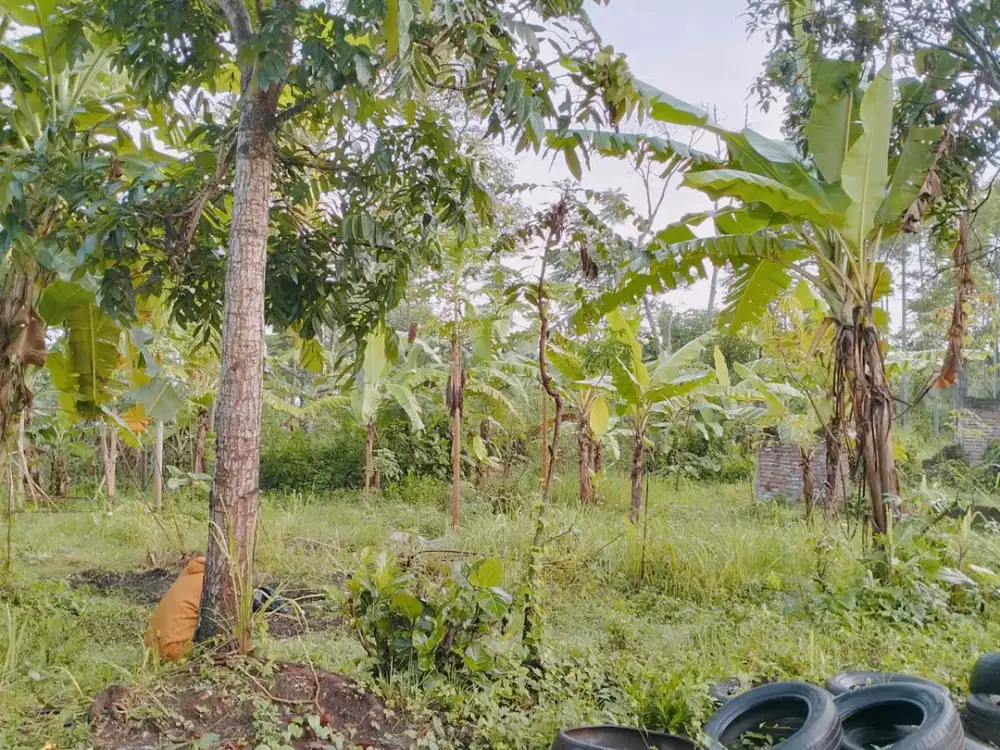 Dijual tanah di jalan godog karangpawitan garut