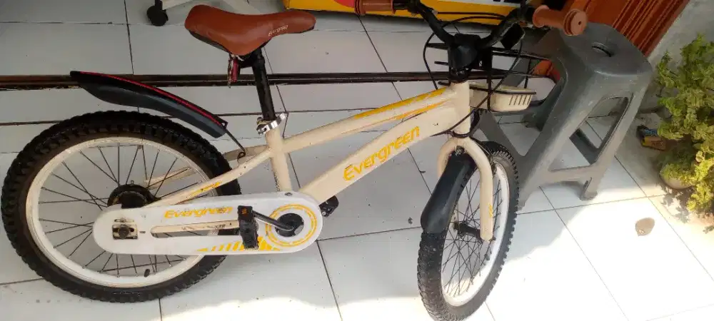 Sepeda anak EVERGREEN 18