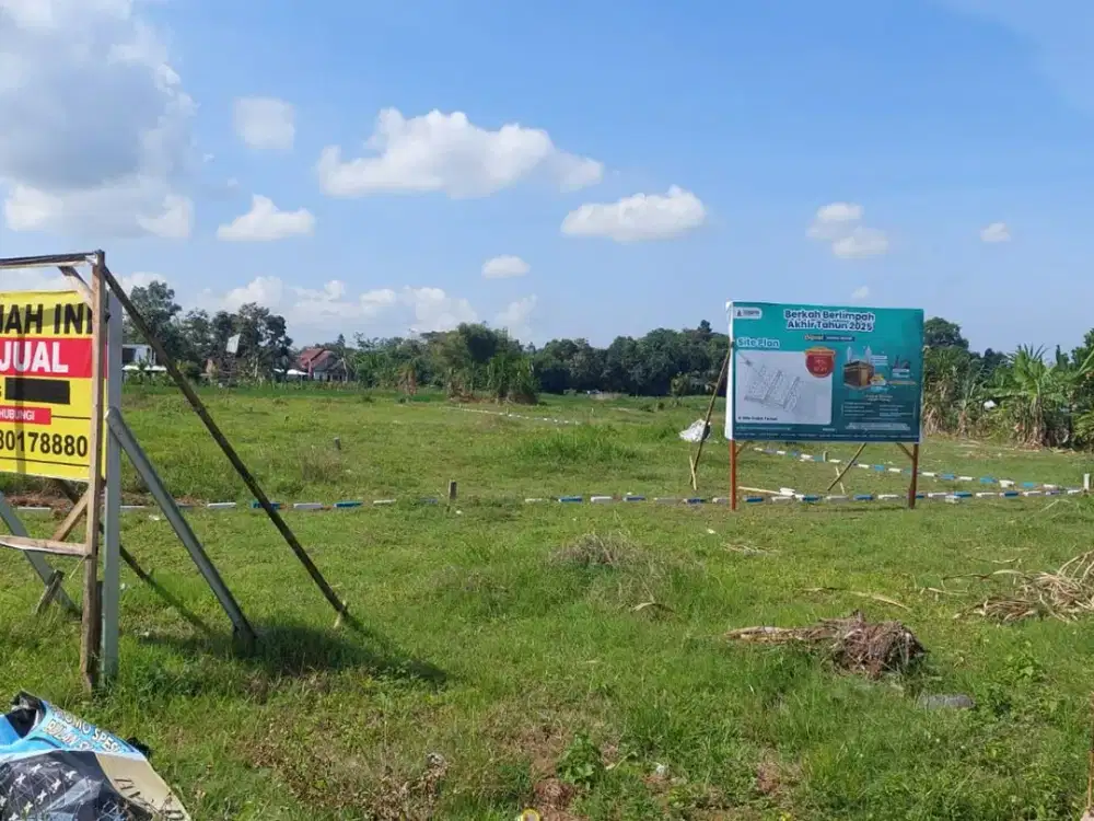 Lahan Luas SHM di Kembiritan Genteng Banyuwangi, Cocok untuk Kavling