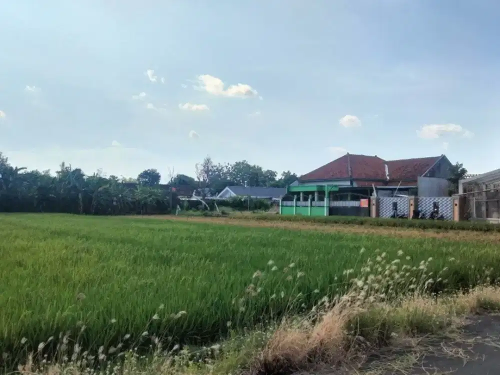 4 Menit Superindo Colomadu, Kavling Hunian 400 Jutaan