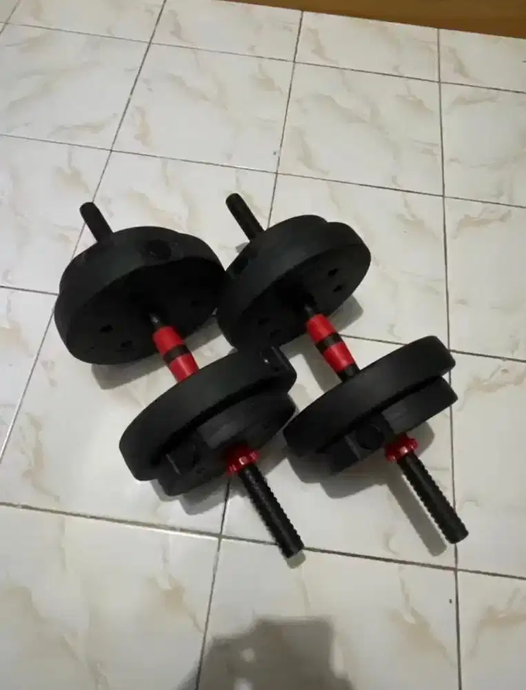 Dumble + pull up bar