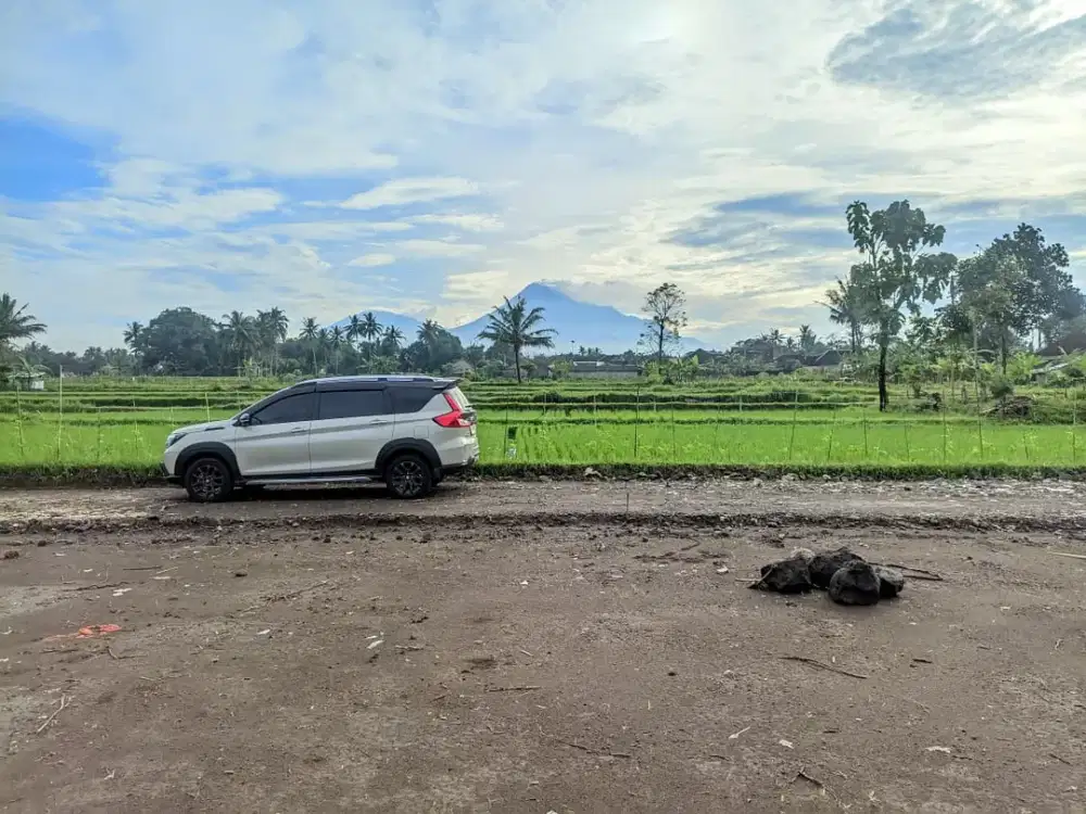 Tanah Ciamik dengan View Hamparan Sawah dan Gunung Merapi