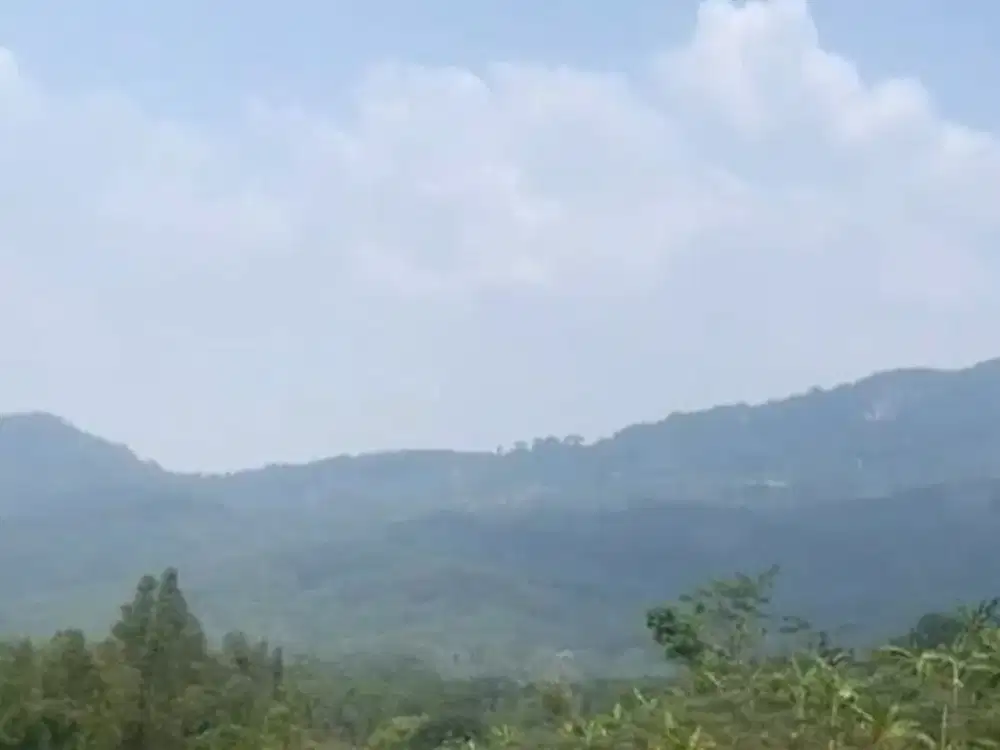 DIJUAL TANAH SUBUR LOKASI DESA PABUARAN BOGOR DEKAT GOLF PUNCAK