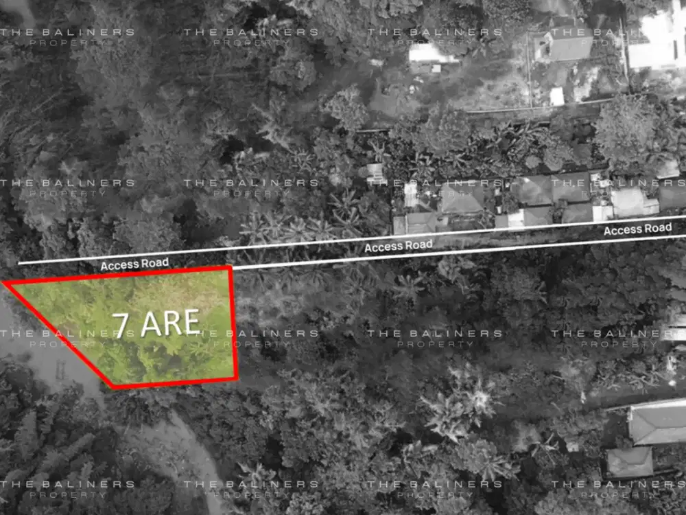 SPACIOUS RESIDENTIAL LAND WITH JUNGLE AND RIVER VIEWS IN BUWIT, TABANA