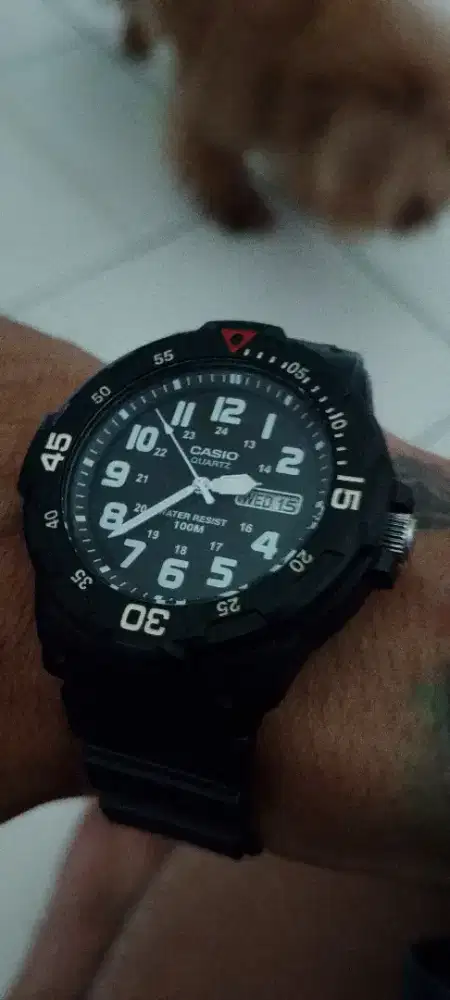 Casio analog mrw 200