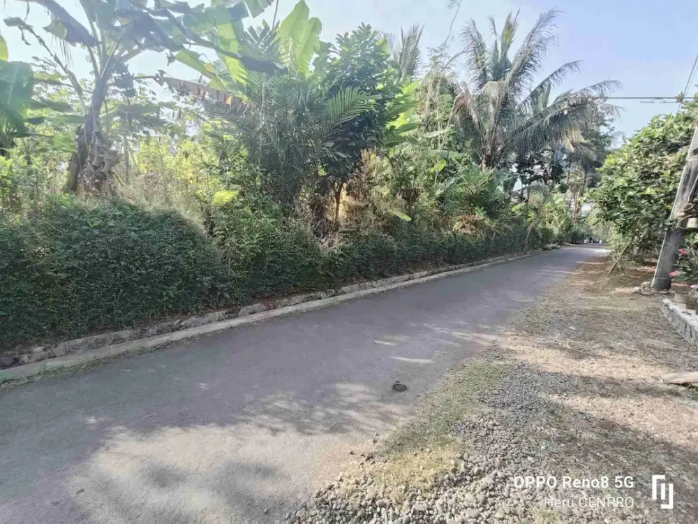 Tanah Kebun nuansa pedesaan kompleks pasar Pingit Rakit Banjarnegara