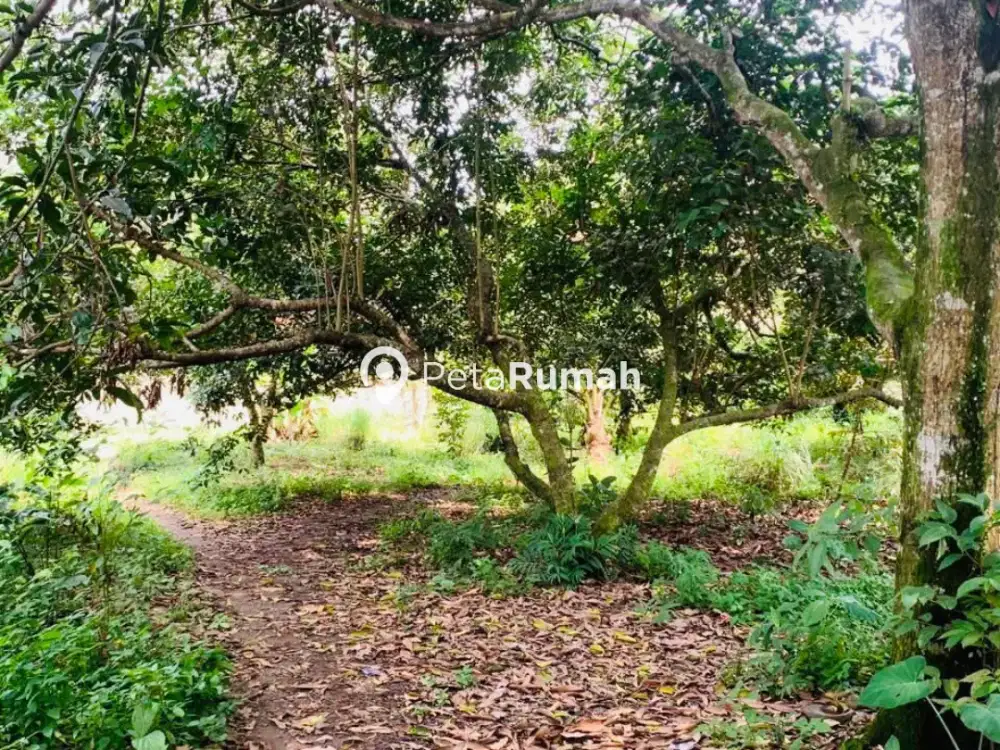 DIJUAL TANAH JALAN PERTAHANAN GANG BENGKEL (PUTRA)