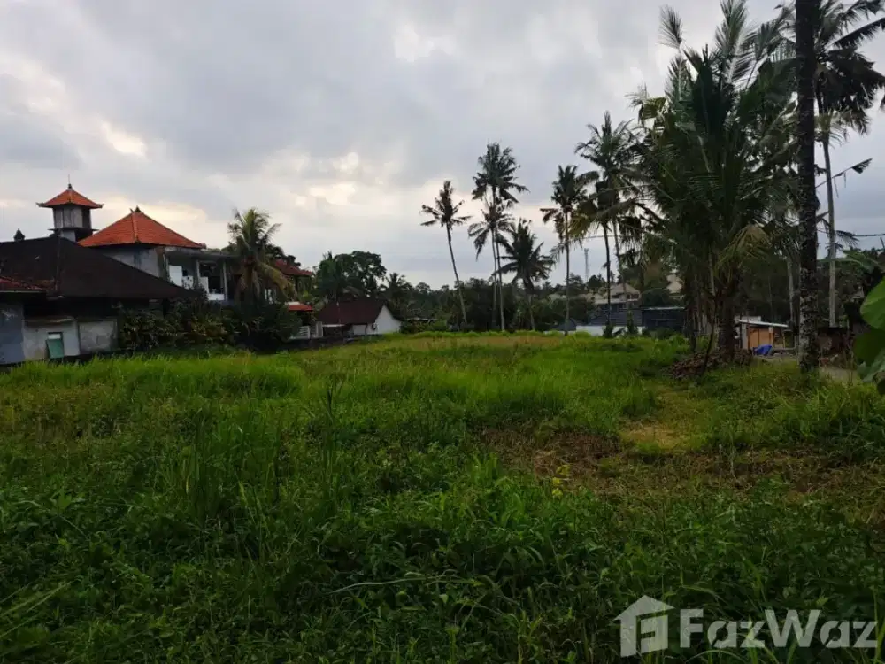 Land for sale in Ubud, Bali