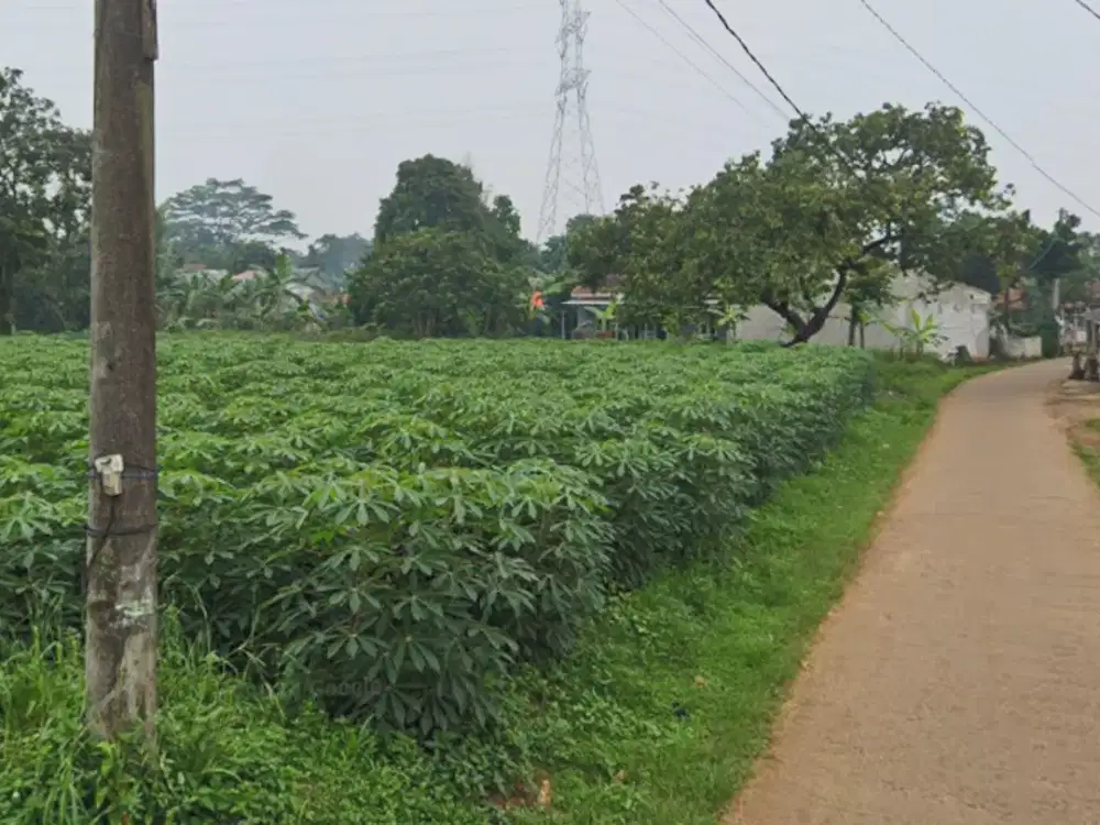 Tanah Strategis Siap Bangun Babakan Bogor