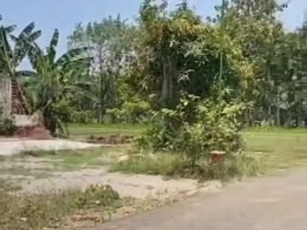 TANAH PEKARANGAN BARAT WISATA UMBUL DOLOPO MADIUN