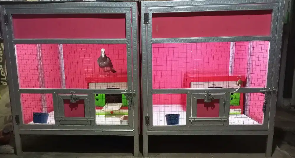Kandang merpati Lipat