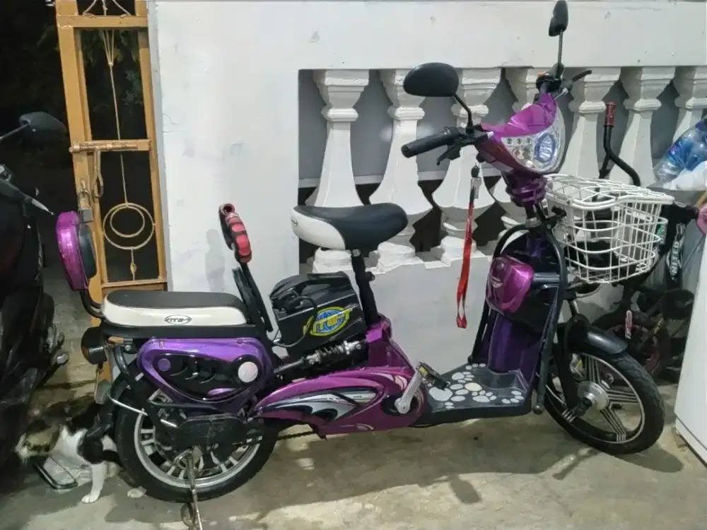 Speda listrik masi bagus batrai awet